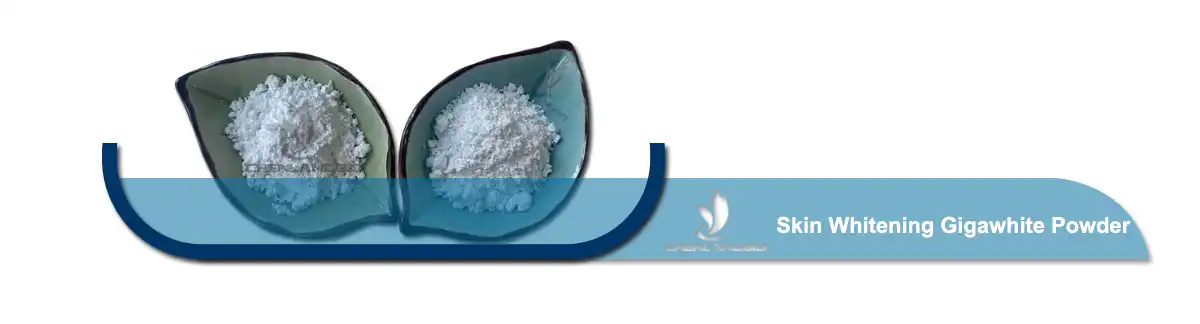 Skin Whitening Gigawhite Powder.jpg